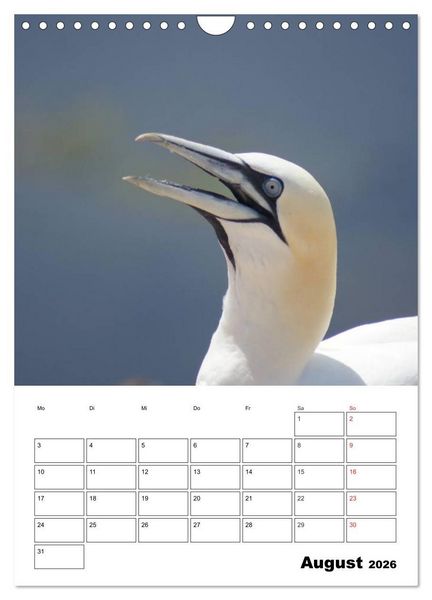 Produktbild: Einzigartige Insel Helgoland (Wandkalender 2026 DIN A4 hoch), CALVENDO Monatskalender