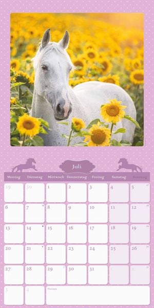 Mein Pferdekalender 2026 - Broschürenkalender 30x30 cm (30x60 geöffnet) - Kalender mit Platz für Notizen - Bildkalender - Wandplaner - Wandkalender