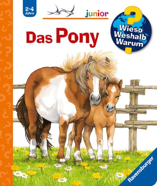 Das Pony / Wieso? Weshalb? Warum? Junior Bd. 20, Gebundene Ausgabe von Thea Ross, Ravensburger Verlag GmbH, 2710001013111