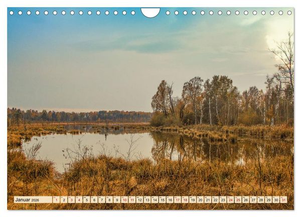 Produktbild: Herbst im Schwenninger Moos (Wandkalender 2026 DIN A4 quer), CALVENDO Monatskalender