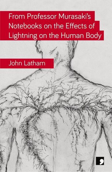Produktbild: From Professor Murasaki's Notebooks on the Effects of Lightning on the Human Body