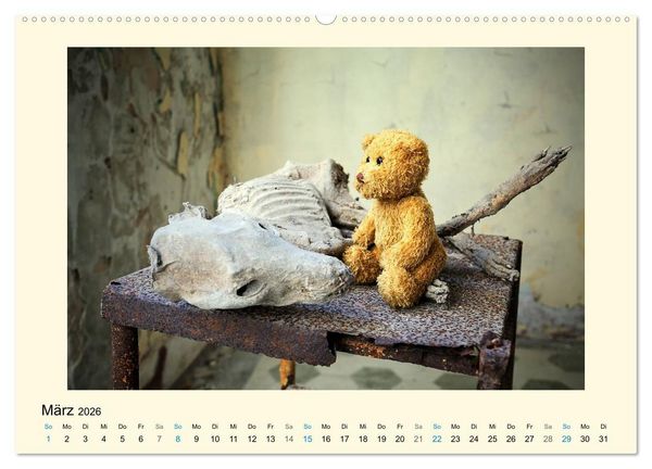 Produktbild: Herr B&auml;r urban explorer (Wandkalender 2026 DIN A2 quer), CALVENDO Monatskalender