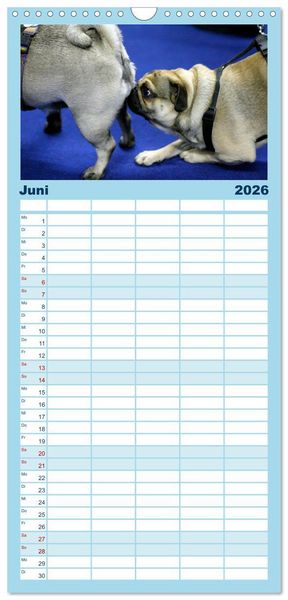 Produktbild: Familienplaner 2026 - Witzige Fellnasen mit 5 Spalten (Wandkalender, 21 x 45 cm) CALVENDO