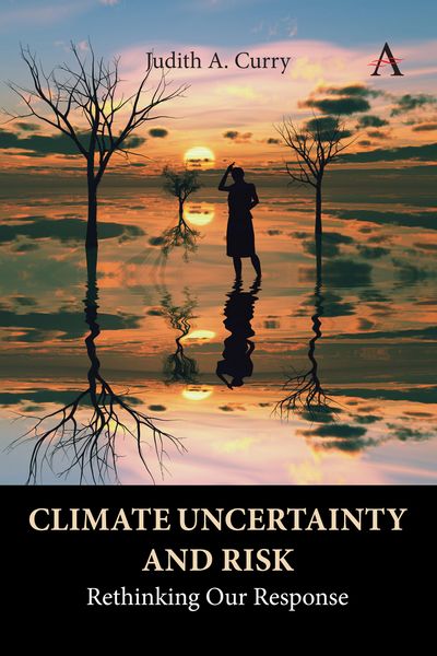 Produktbild: Climate Uncertainty and Risk