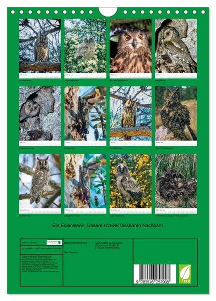 Produktbild: Ein Eulenleben, Unsere schwer fassbaren Nachbarn (Wandkalender 2026 DIN A4 hoch), CALVENDO Monatskalender