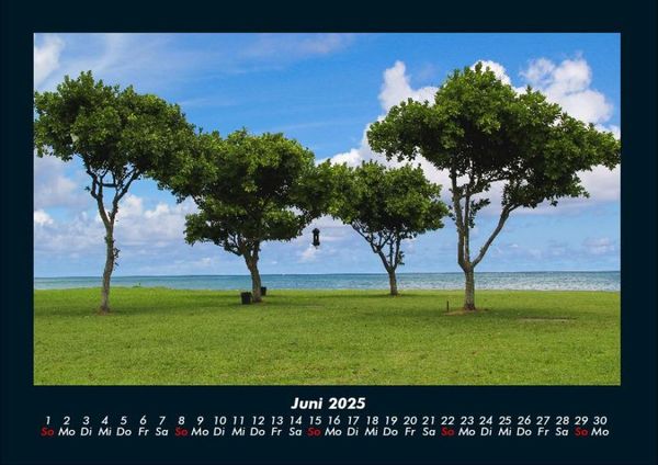 Produktbild: B&auml;ume 2025 Fotokalender DIN A4