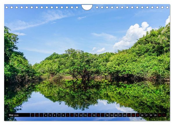 Produktbild: Amazonas - Faszination Regenwald (Wandkalender 2026 DIN A4 quer), CALVENDO Monatskalender