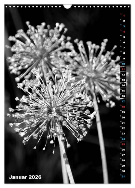Produktbild: Blumige Graustufen - Schwarz und Wei&szlig; (Wandkalender 2026 DIN A3 hoch), CALVENDO Monatskalender