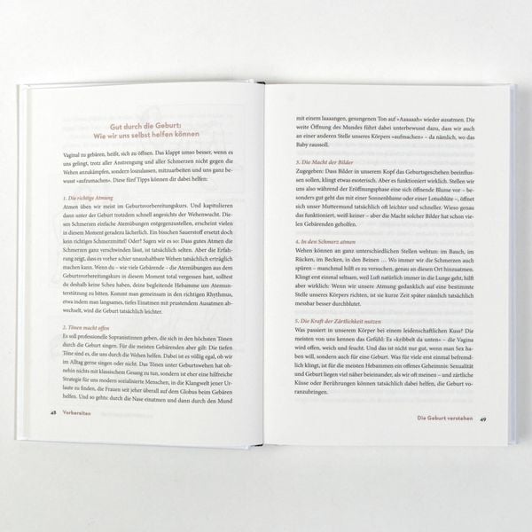 Produktbild: Das Geburtsbuch