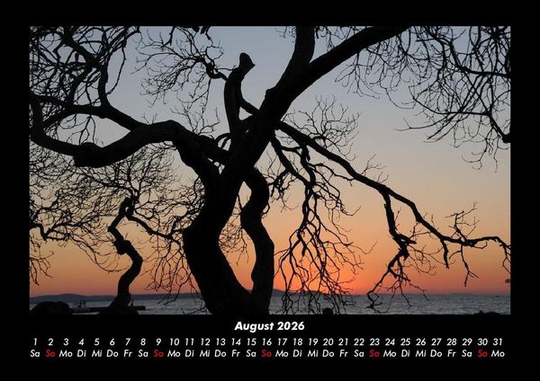 Produktbild: B&auml;ume 2026 Fotokalender DIN A3