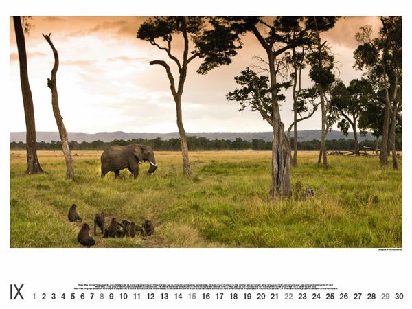 Produktbild: Kenia 2013