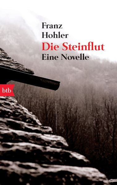 Produktbild: Die Steinflut
