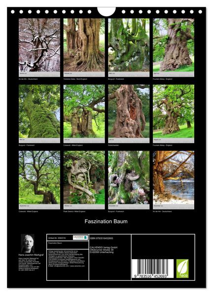 Produktbild: Faszination Baum (Wandkalender 2026 DIN A4 hoch), CALVENDO Monatskalender