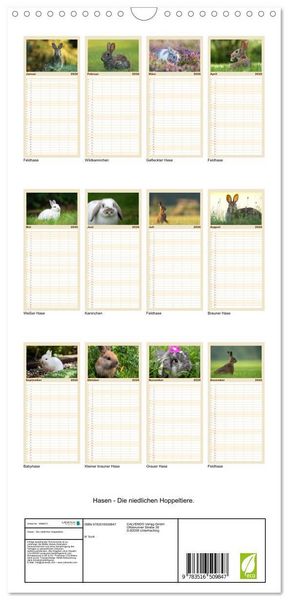 Produktbild: Familienplaner 2026 - Hasen - Die niedlichen Hoppeltiere. mit 5 Spalten (Wandkalender, 21 x 45 cm) CALVENDO