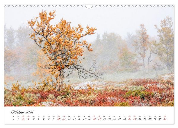 Produktbild: Im Atem der B&auml;ume (Wandkalender 2026 DIN A3 quer), CALVENDO Monatskalender