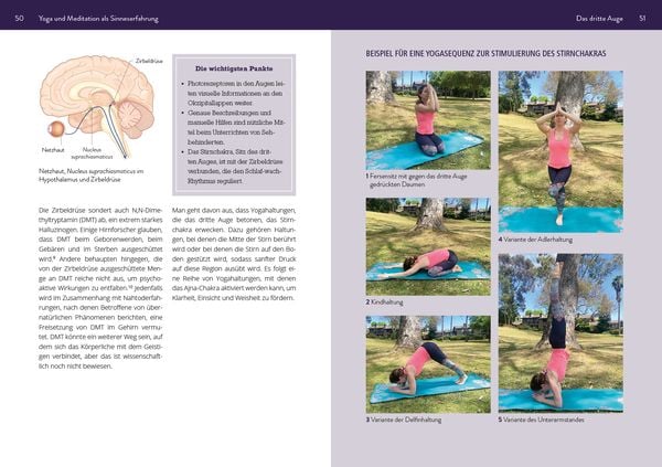 Produktbild: Die Neurowissenschaft hinter Yoga und Meditation