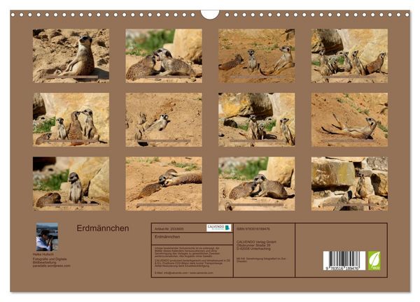 Produktbild: Erdm&auml;nnchen (Wandkalender 2026 DIN A3 quer), CALVENDO Monatskalender
