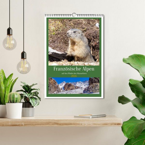 Produktbild: Franz&ouml;sische Alpen, auf den Pfaden des Murmeltiers (Wandkalender 2026 DIN A3 hoch), CALVENDO Monatskalender