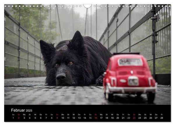Produktbild: Mit der Knutschkugel auf Reisen (Wandkalender 2025 DIN A3 quer), CALVENDO Monatskalender
