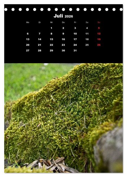 Produktbild: Die Welt der Moose. Ein Blick nach unten (Tischkalender 2026 DIN A5 hoch), CALVENDO Monatskalender