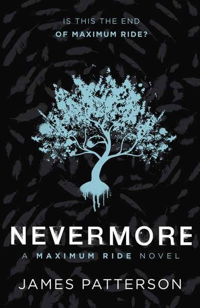 Produktbild: Nevermore: A Maximum Ride Novel
