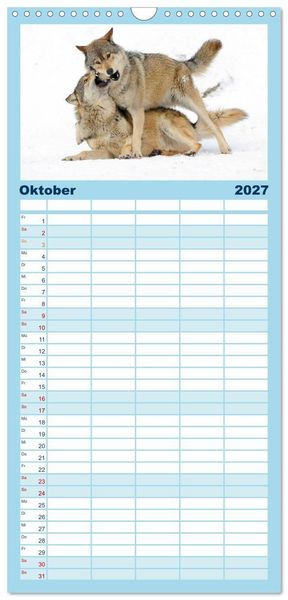 Produktbild: Familienplaner 2027 - Kanadische W&ouml;lfe im Winter mit 5 Spalten (Wandkalender, 21 x 45 cm) CALVENDO