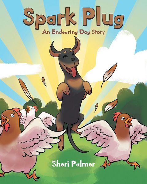 Produktbild: Spark Plug