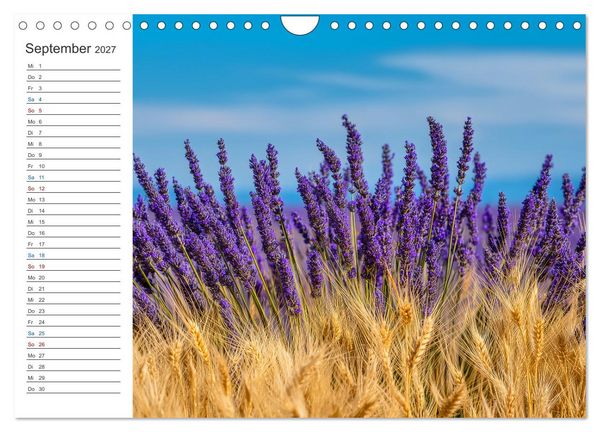 Produktbild: Ein Hauch von S&uuml;den (Wandkalender 2027 DIN A4 quer), CALVENDO Monatskalender