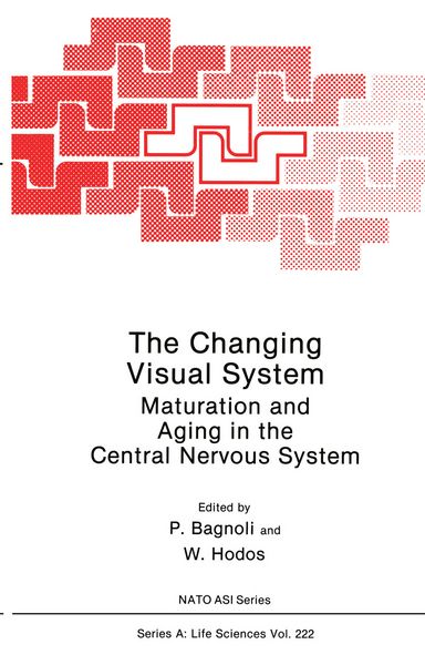 Produktbild: The Changing Visual System
