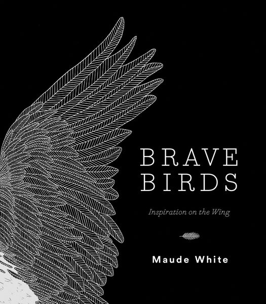Produktbild: Brave Birds