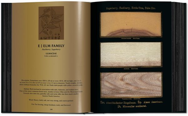 Produktbild: Romeyn B. Hough
