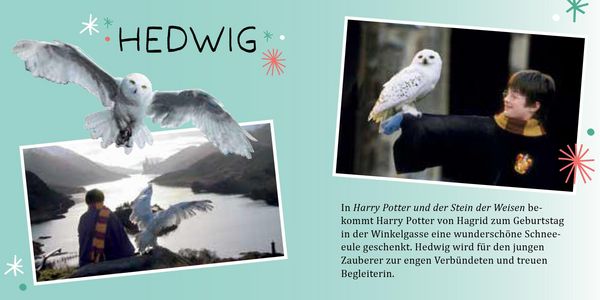 Produktbild: Aus den Filmen zu Harry Potter: Magische Weihnachten - Der offizielle Adventskalender - Magische Tierwesen