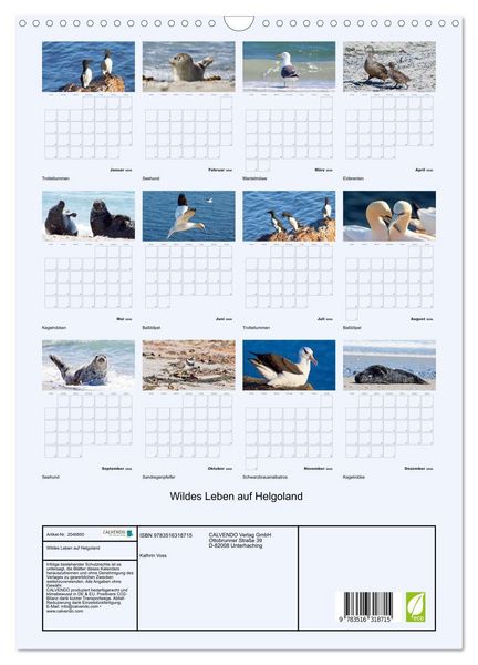 Produktbild: Wildes Leben auf Helgoland (Wandkalender 2026 DIN A3 hoch), CALVENDO Monatskalender