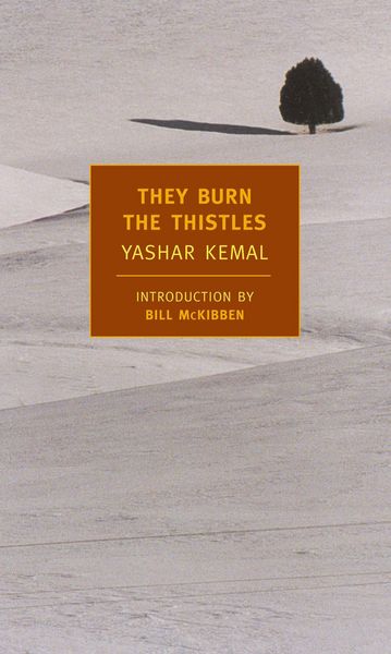 Produktbild: They Burn the Thistles