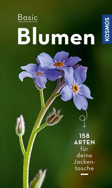 Produktbild: Basic Blumen