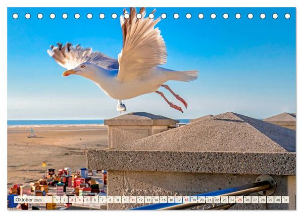 Produktbild: Mein Urlaub am Meer (Tischkalender 2026 DIN A5 quer), CALVENDO Monatskalender