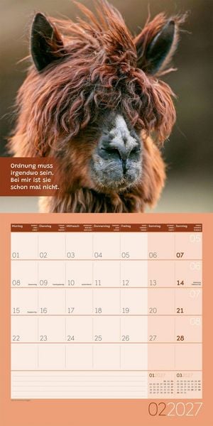 Produktbild: No Drama, Lama Kalender 2027 - 30x30 - Art12