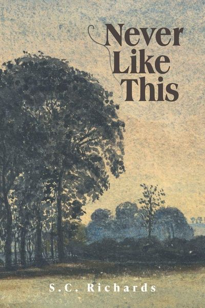 Produktbild: Never Like This