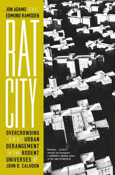 Produktbild: Rat City