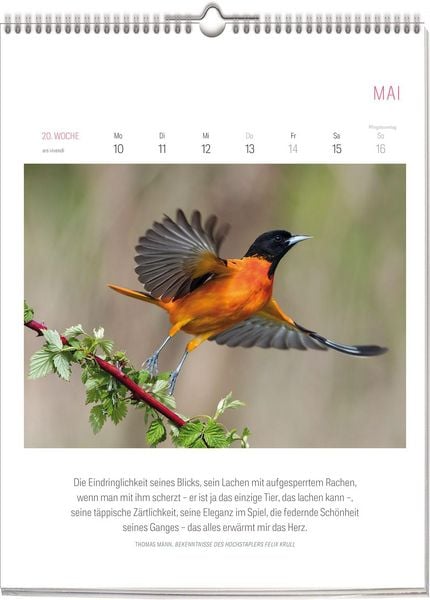 Produktbild: Literarischer Vogel Kalender 2027