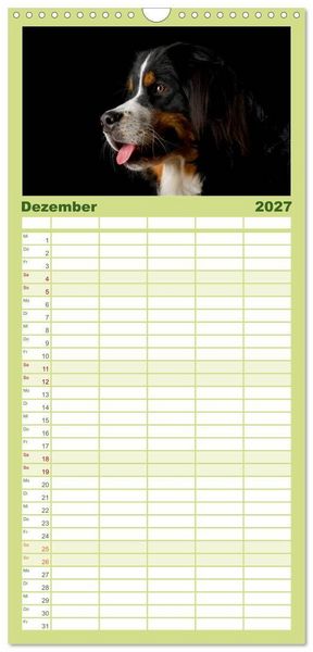 Produktbild: Familienplaner 2027 - Berner Sennenhunde mit 5 Spalten (Wandkalender, 21 x 45 cm) CALVENDO