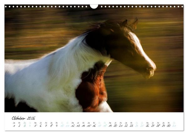 Produktbild: Pferde vom Wind verweht (Wandkalender 2026 DIN A3 quer), CALVENDO Monatskalender