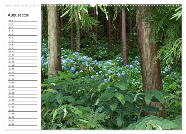 Produktbild: Azoren - S&atilde;o Miguel (hochwertiger Premium Wandkalender 2026 DIN A2 quer), Kunstdruck in Hochglanz