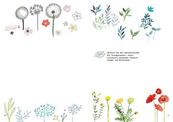 Produktbild: Handlettering u. Schmuckelemente