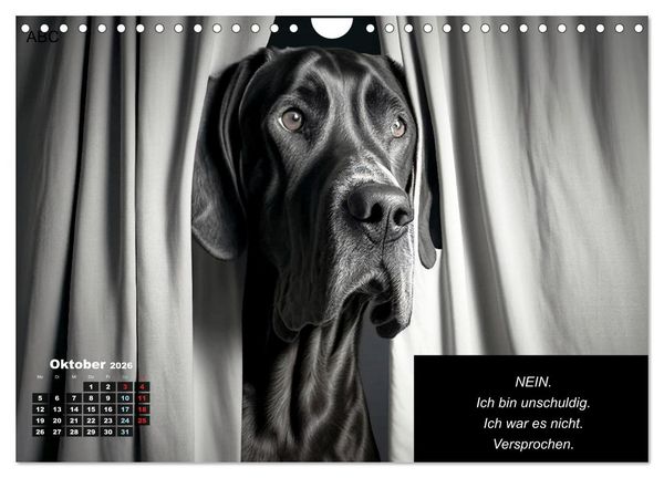 Produktbild: Der humoristische Dogge Kalender (Wandkalender 2026 DIN A4 quer), CALVENDO Monatskalender