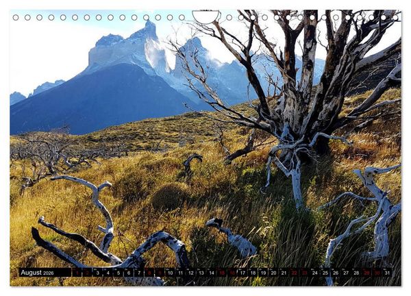 Produktbild: Patagonien - Parques Torres del Paine und Los Glaciares (Wandkalender 2026 DIN A4 quer), CALVENDO Monatskalender