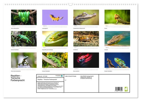 Produktbild: Reptilien - Tierische Farbenpracht (Wandkalender 2026 DIN A2 quer), CALVENDO Monatskalender