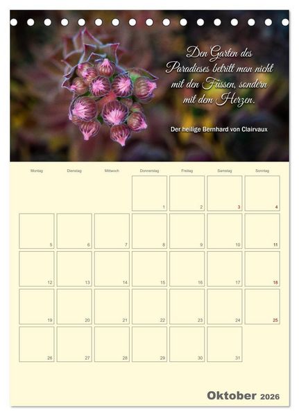 Produktbild: Gartenliebe (Tischkalender 2026 DIN A5 hoch), CALVENDO Monatskalender