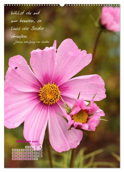 Produktbild: Blumen & Zitate (Wandkalender 2026 DIN A2 hoch), CALVENDO Monatskalender