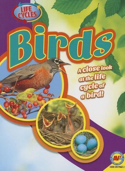Produktbild: Birds